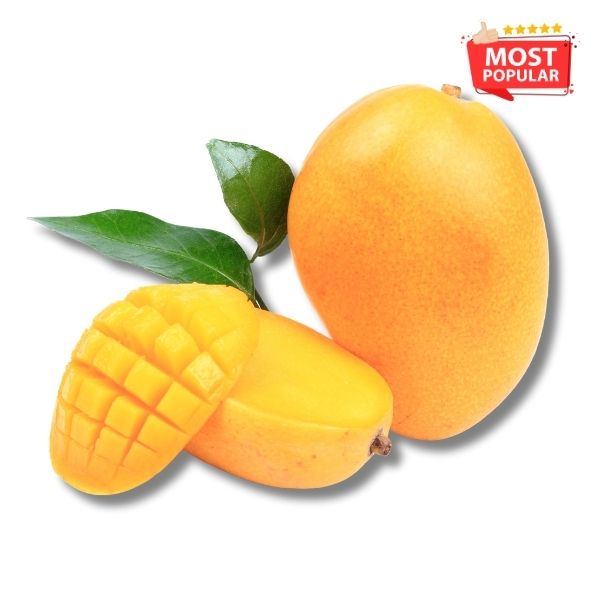 Fresh Mango - Alphonsa_0