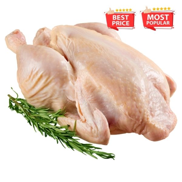 Fresh Chicken_0