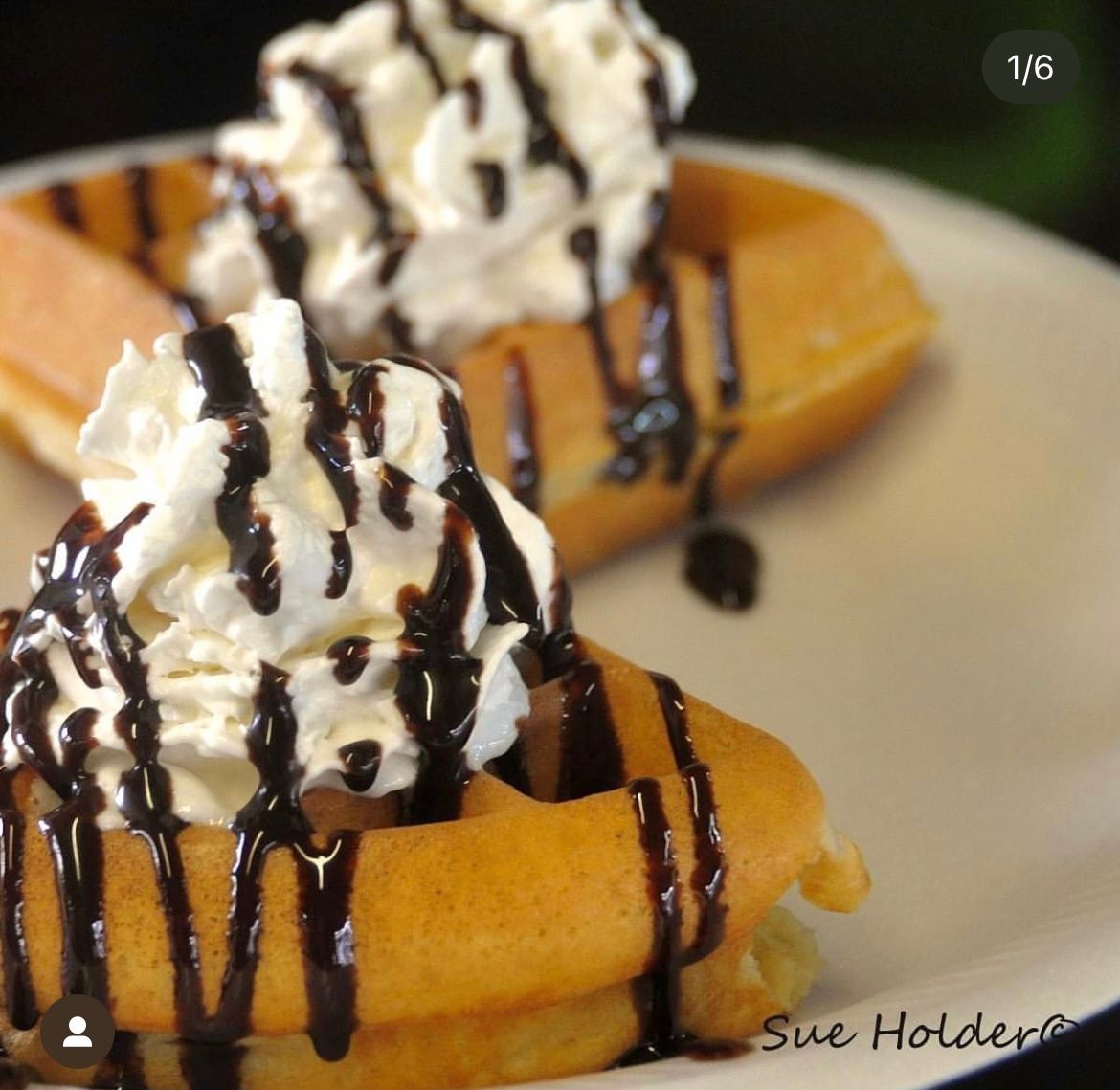 Waffle (Chocolate or Regular Syrup)_0