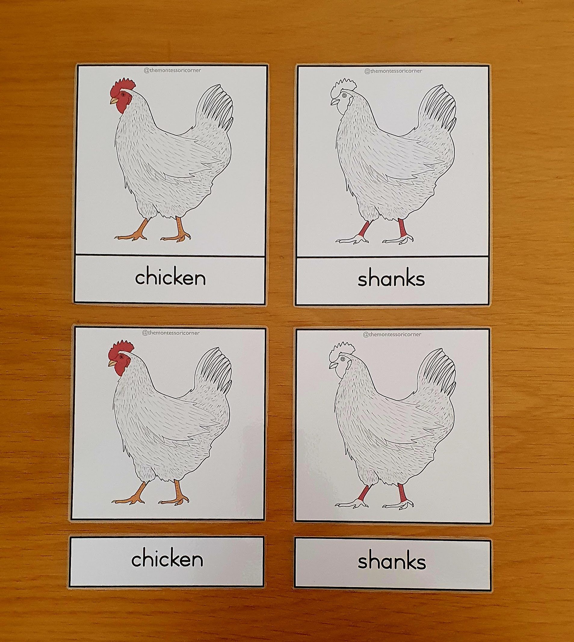 Nomenclature - chicken_0