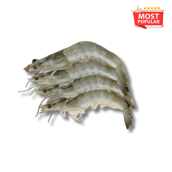 Fresh Prawns 500g_0