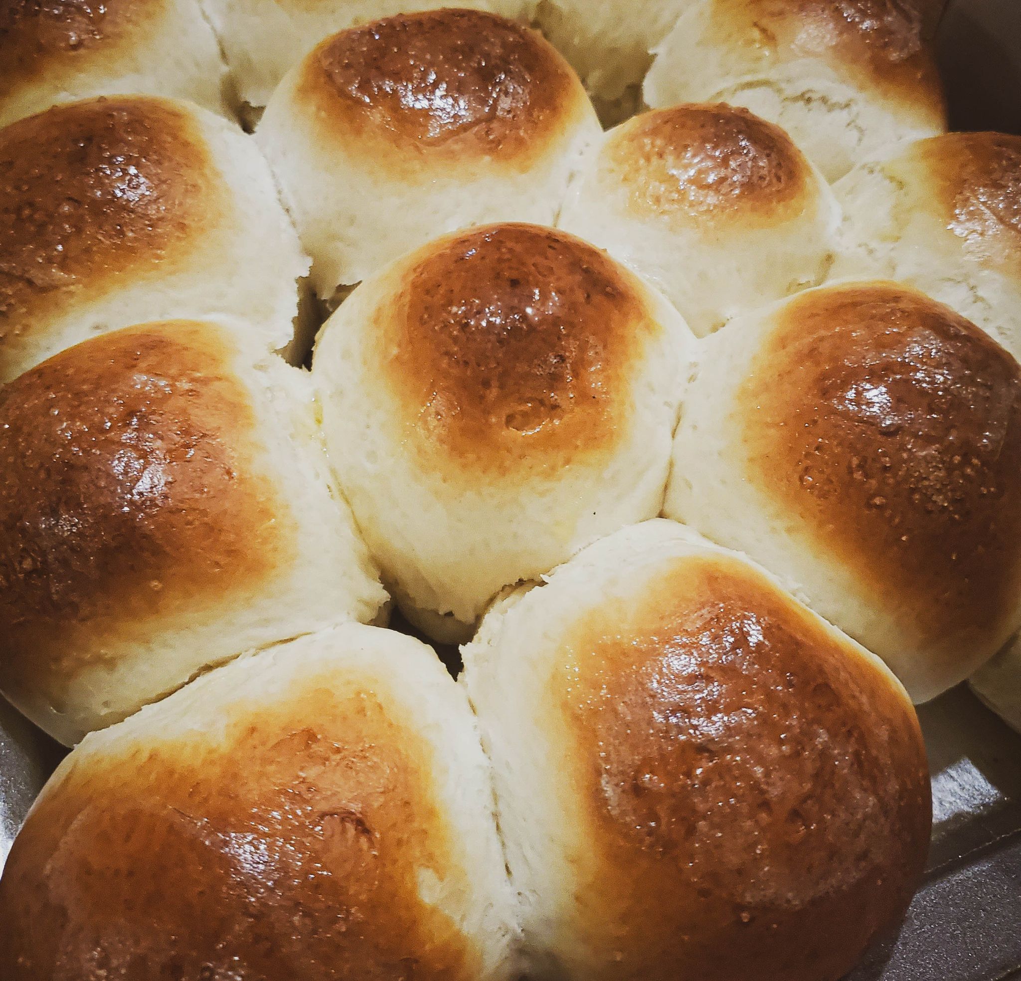 Dinner Rolls - 1/2 Dozen_1