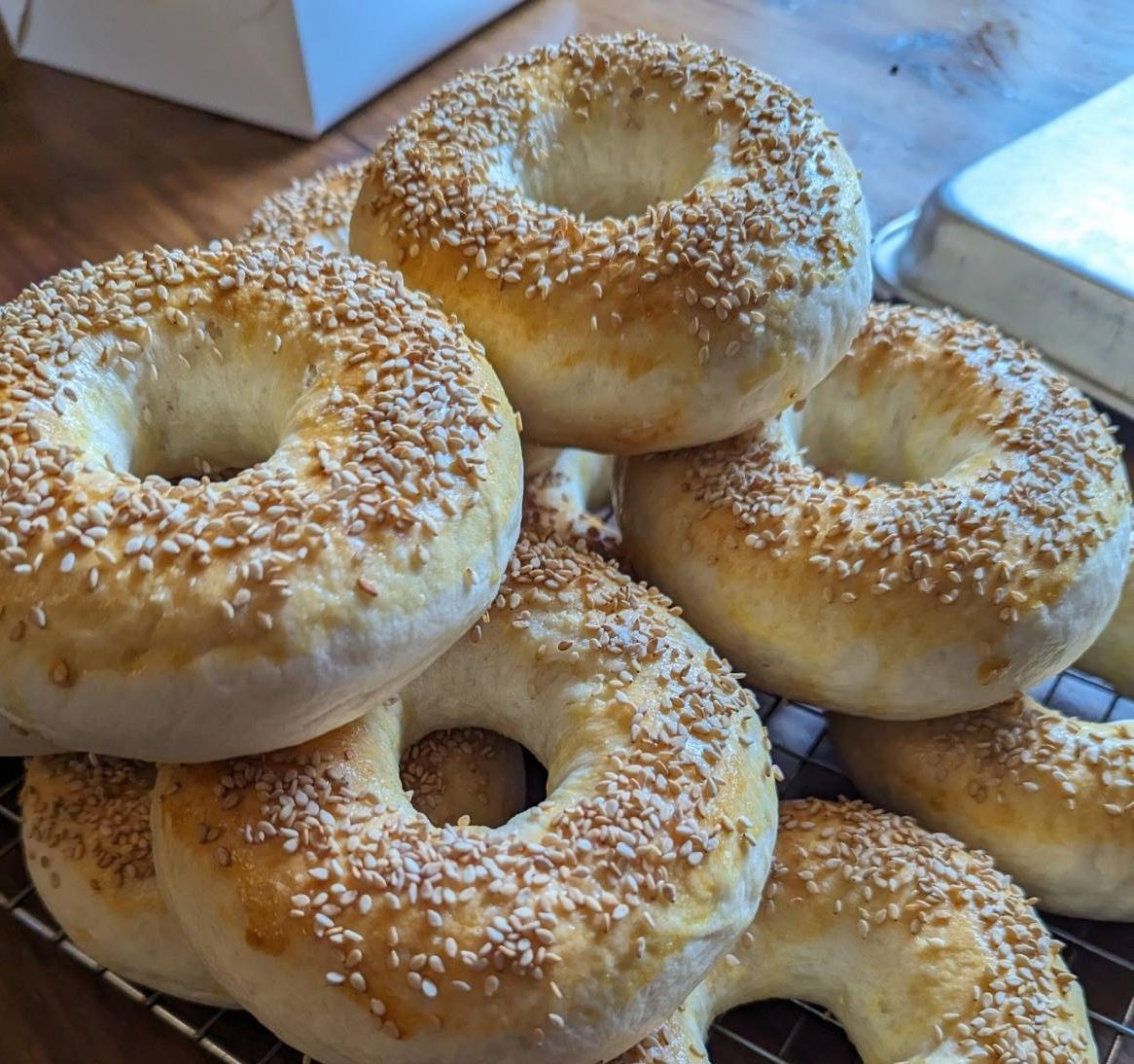 Sesame Seed Bagels - 1 Dozen_1