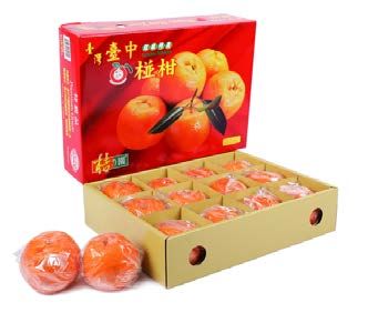 Taiwan Ponkan Mandarins - Single Layer Gift Pack_0