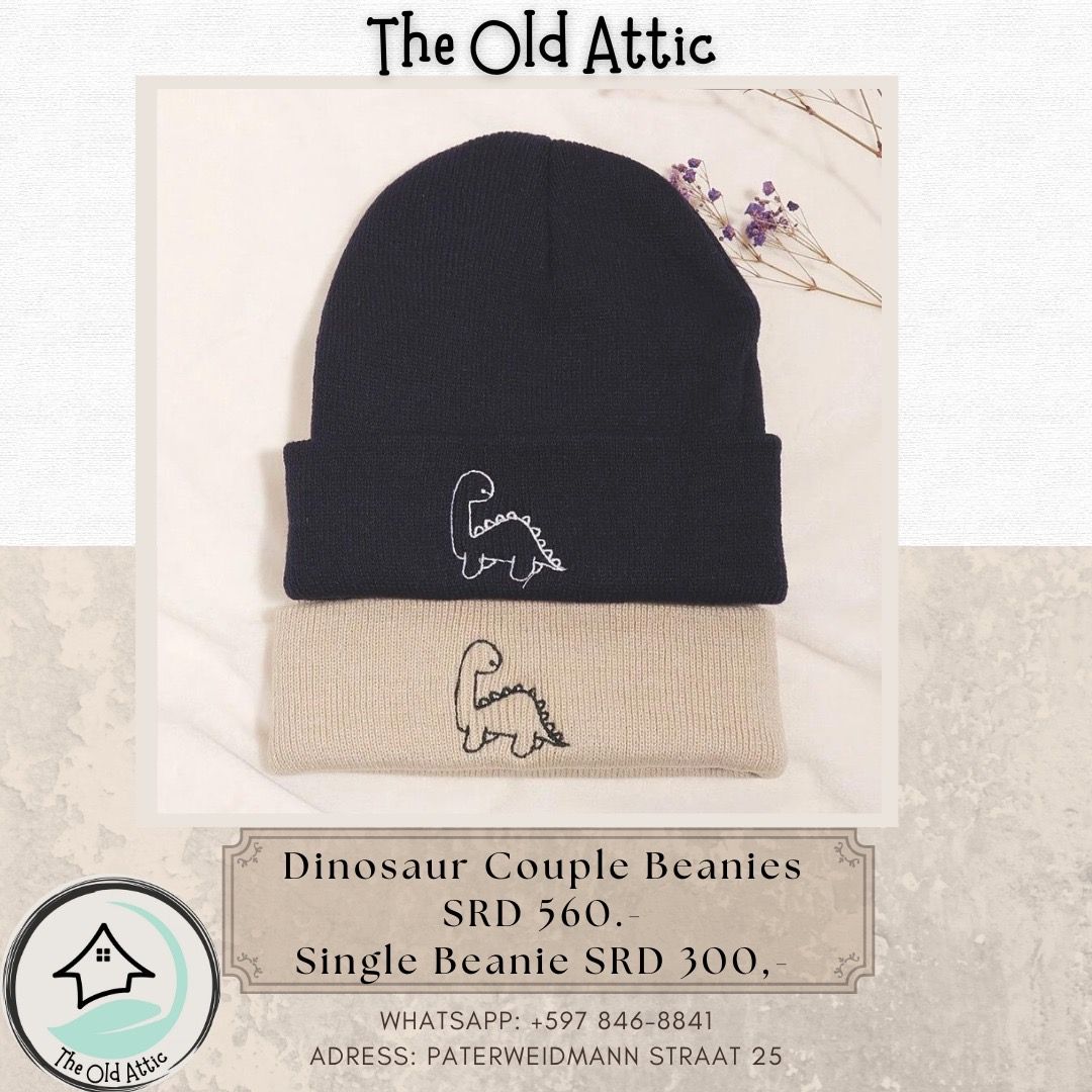 Dinosaur couple beanies _0