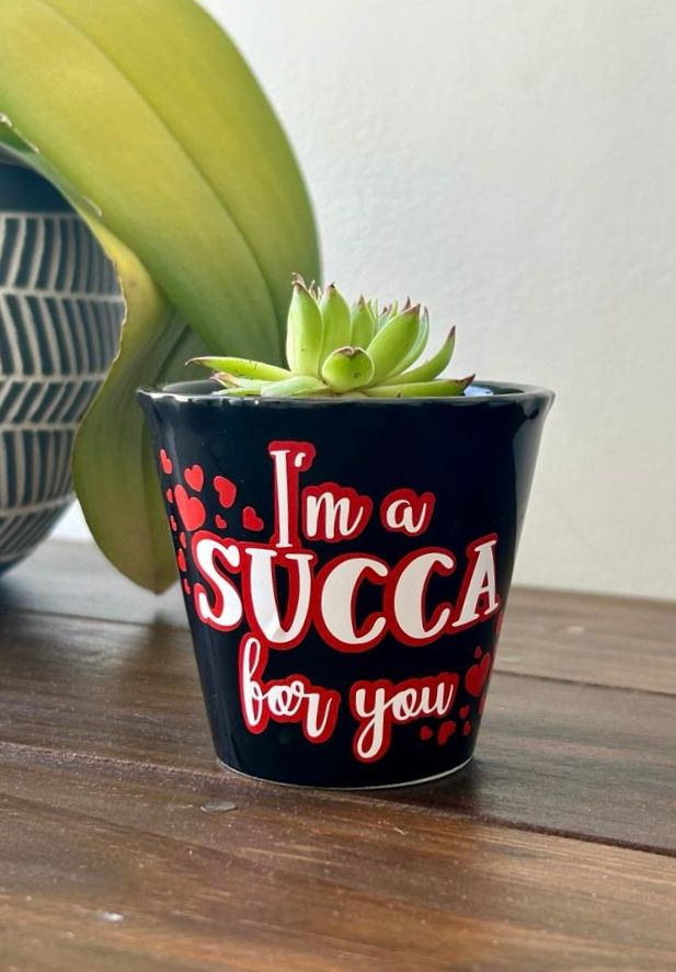 Valentine’s Succulent_0