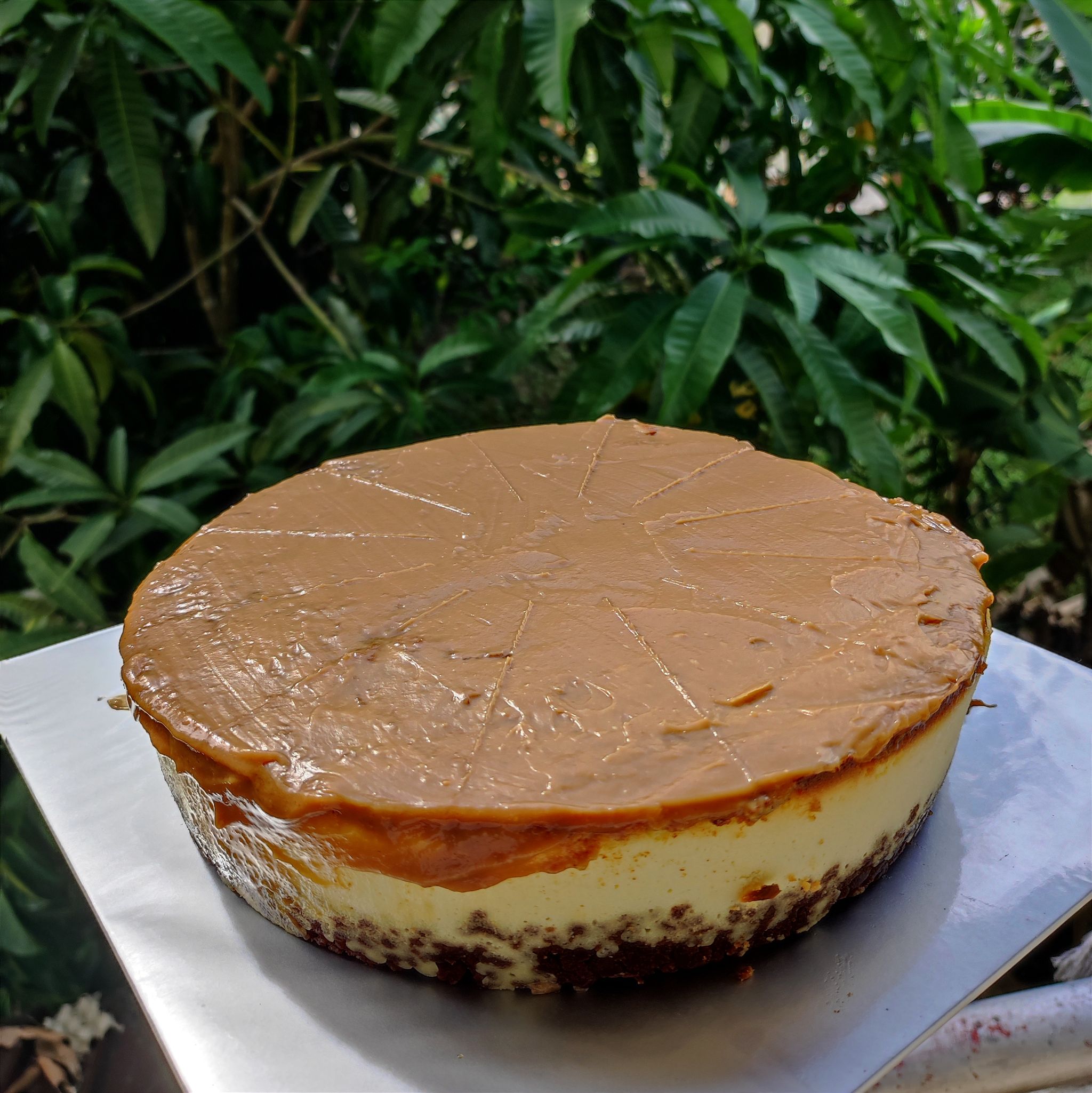 Biscoff Cheesecake_1