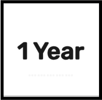 1 Year_0