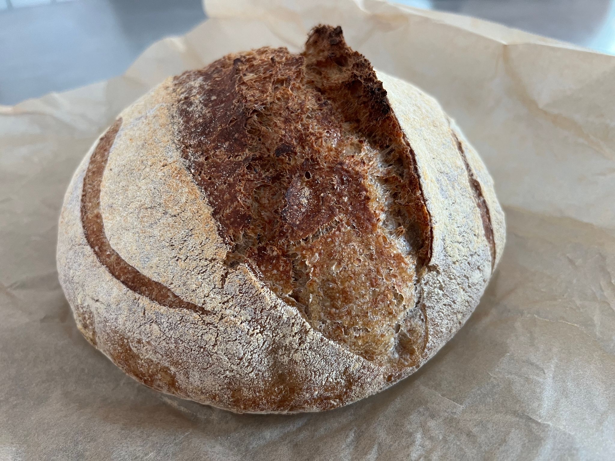 50/50 Sourdough loaf_0