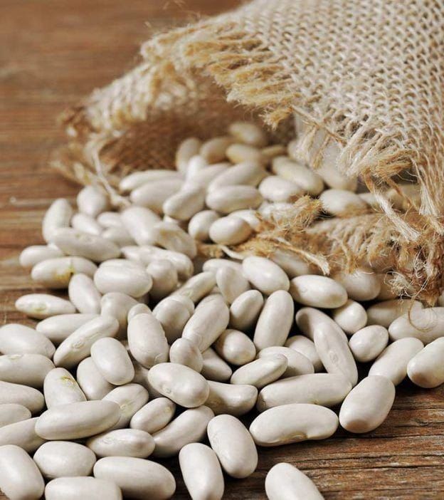 WHITE BUTTER BEANS (NOWE WHITE)_0