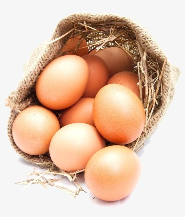 EGGS_0