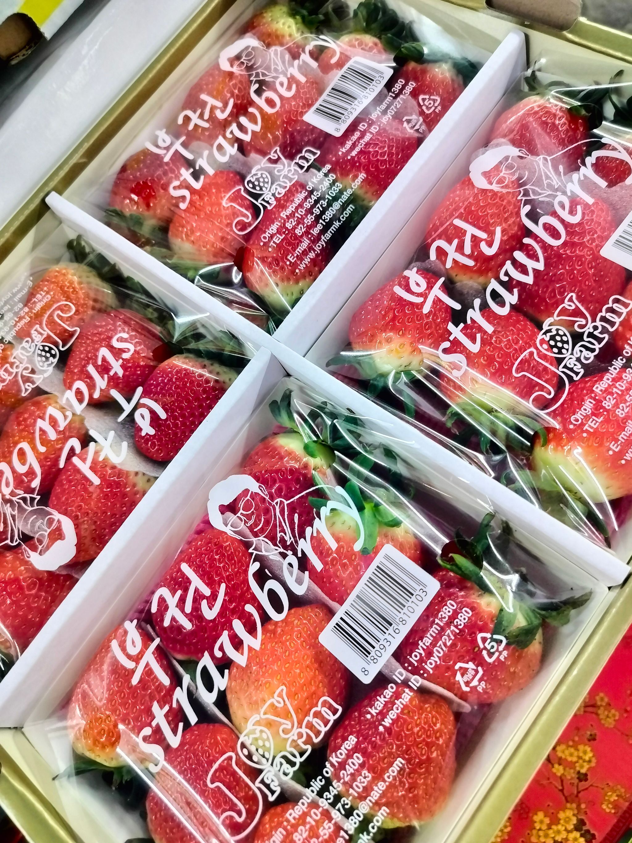 Premium! Korea JOY Seolhyang Strawberries (330g)_5