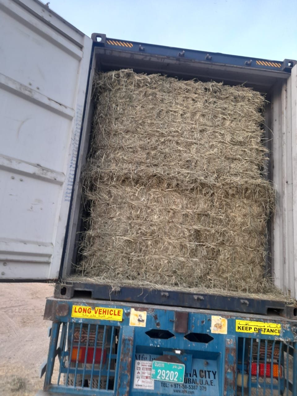 Rhodes grass Pakistan 320 kg رودس الباکستان _3