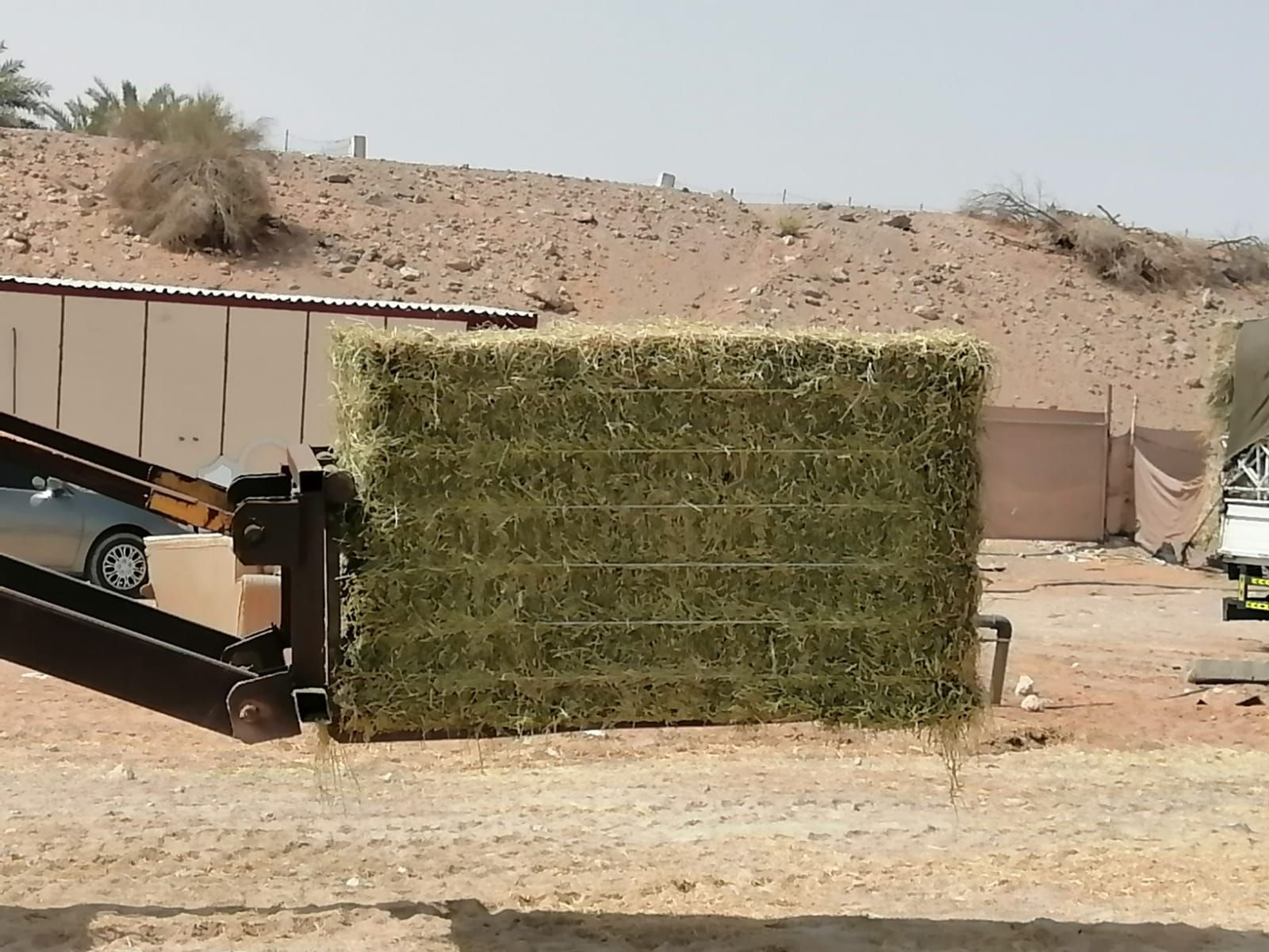 Rhodes grass Pakistan 320 kg رودس الباکستان _1