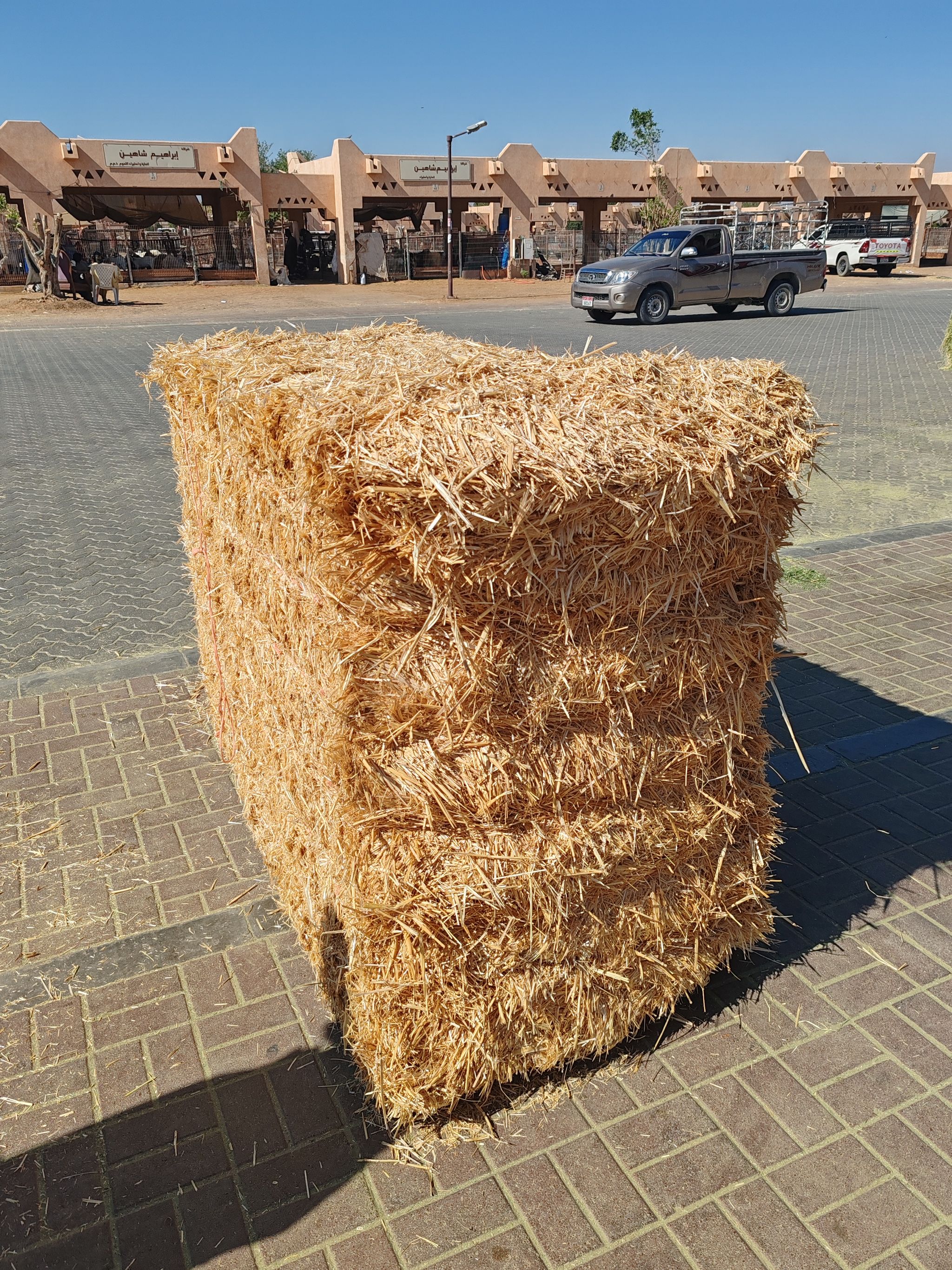 Straw Pakistan 350 kg قش قمعح الباکستان_1