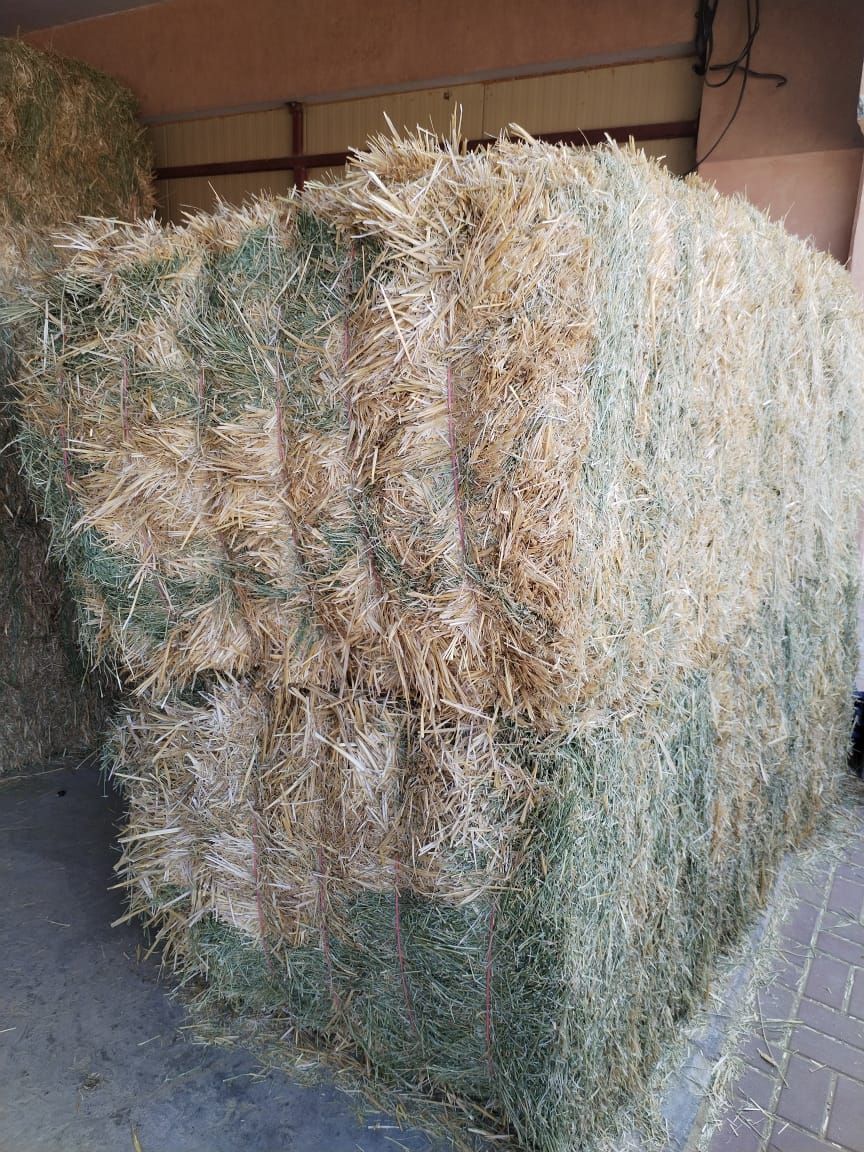 Straw alfa Alfa mix 500 kg جت تبن مخلوط _0