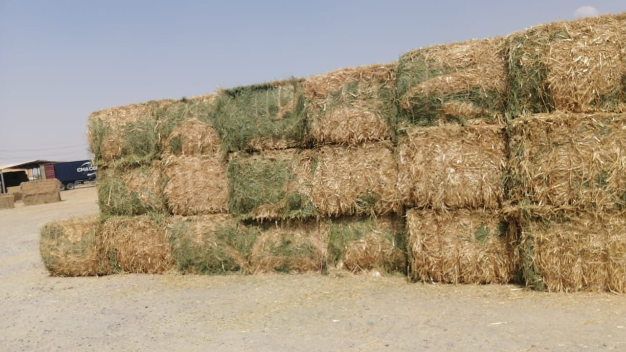 Straw alfa Alfa mix 500 kg جت تبن مخلوط _4