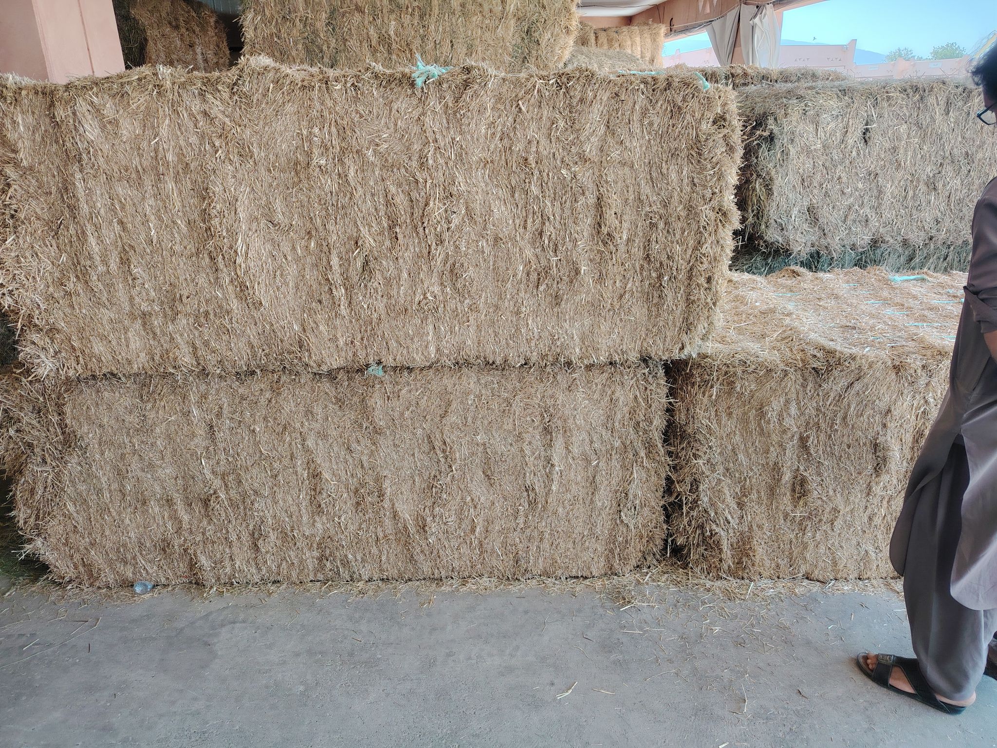 Ryegrass mix grass 750 kg الرای  جراس۔_5