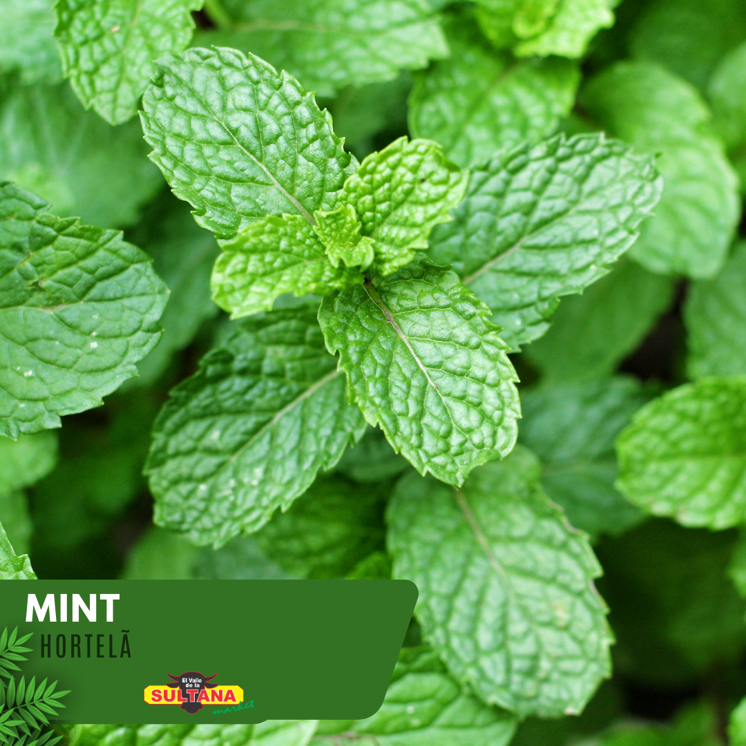 Mint_0