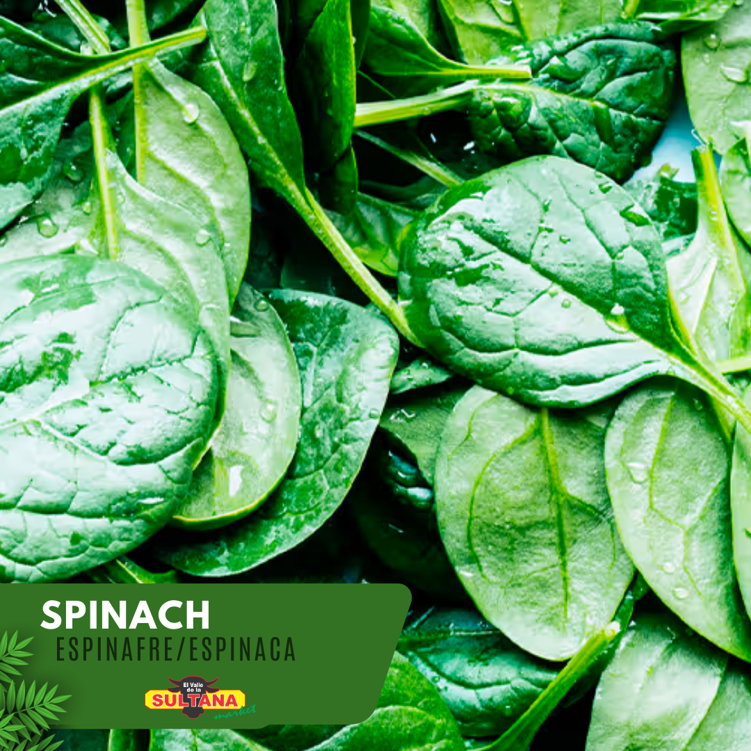 Spinach _0