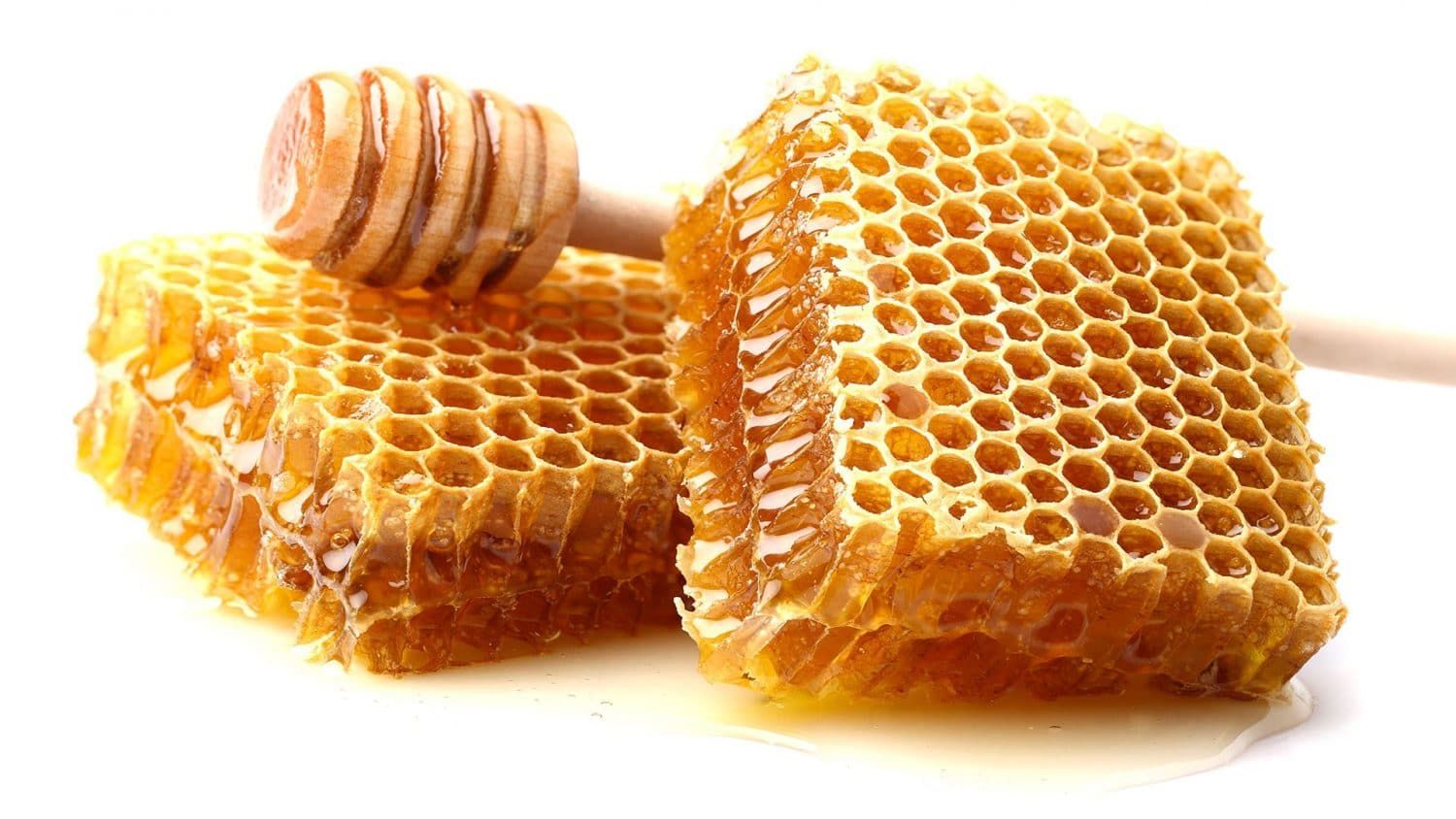 HONEY COMB_1