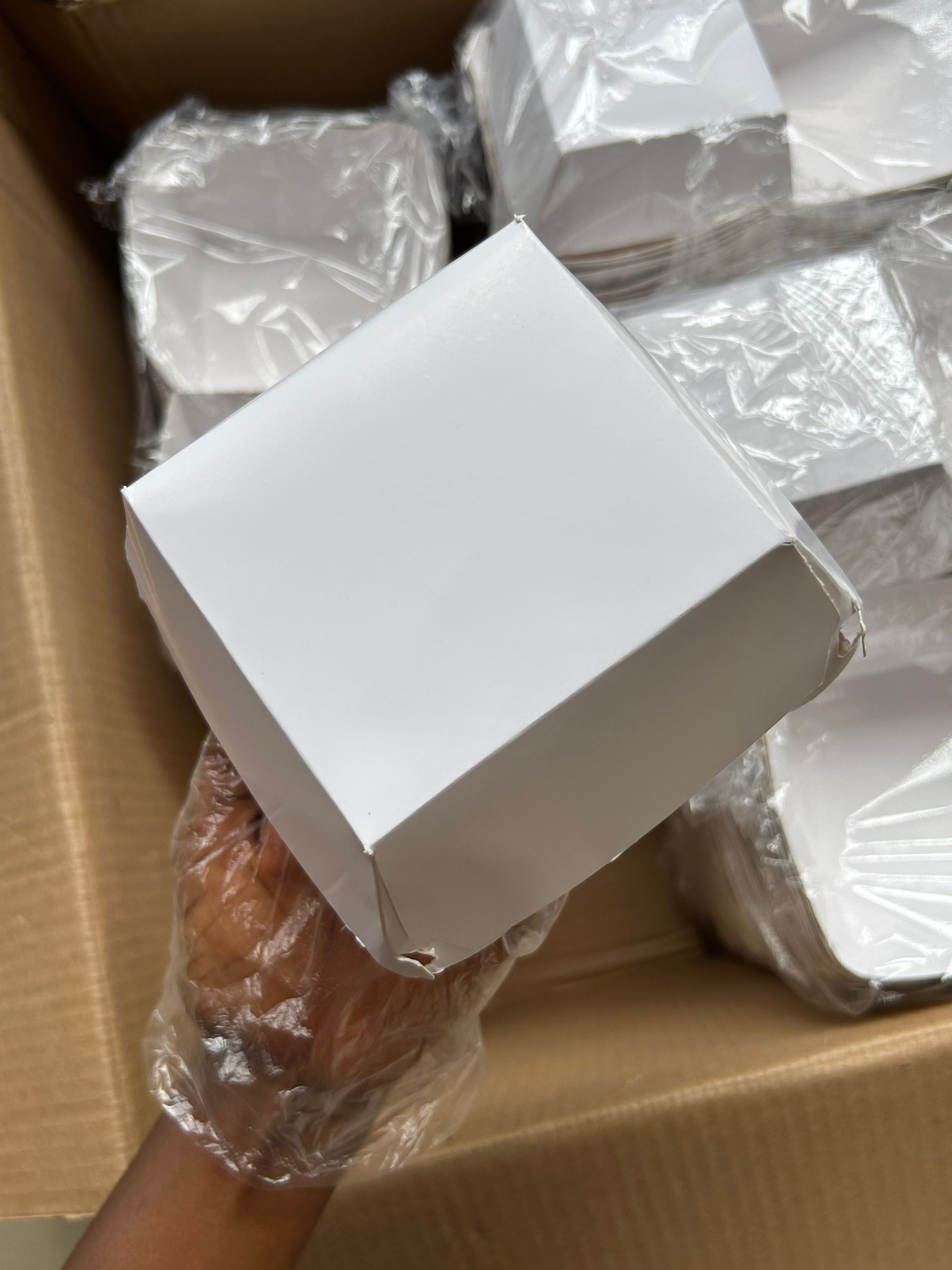 PLAIN WHITE CLAMSHELL TAKEOUT BOXES - CARTON OF 500 PIECES _4