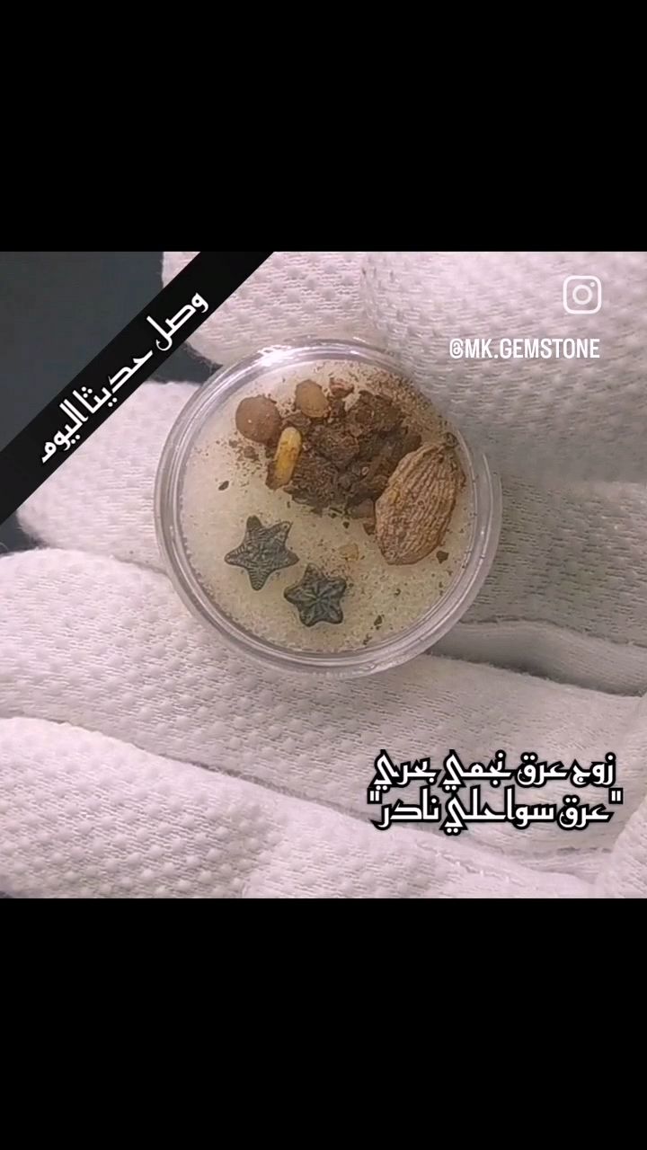 عرق النجم البحري _1