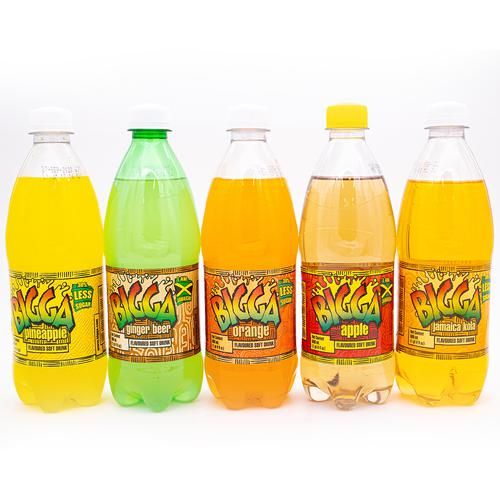 Bigga Assorted Sodas 24 Units / 600 ml_0