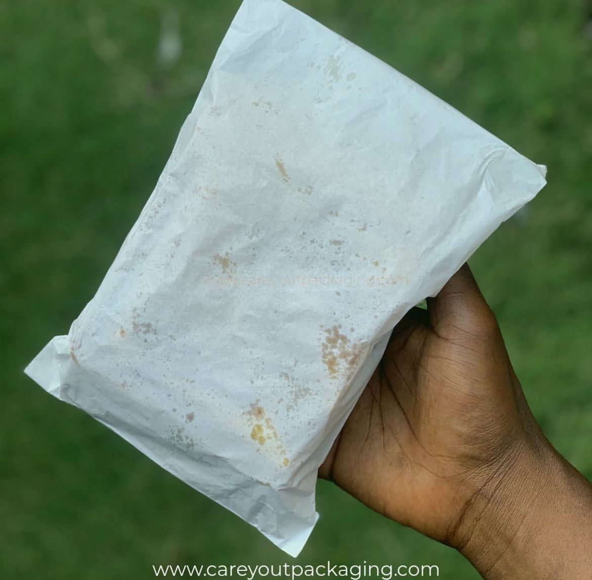 PLAIN WHITE SNACK TAKEOUT BAGS _0