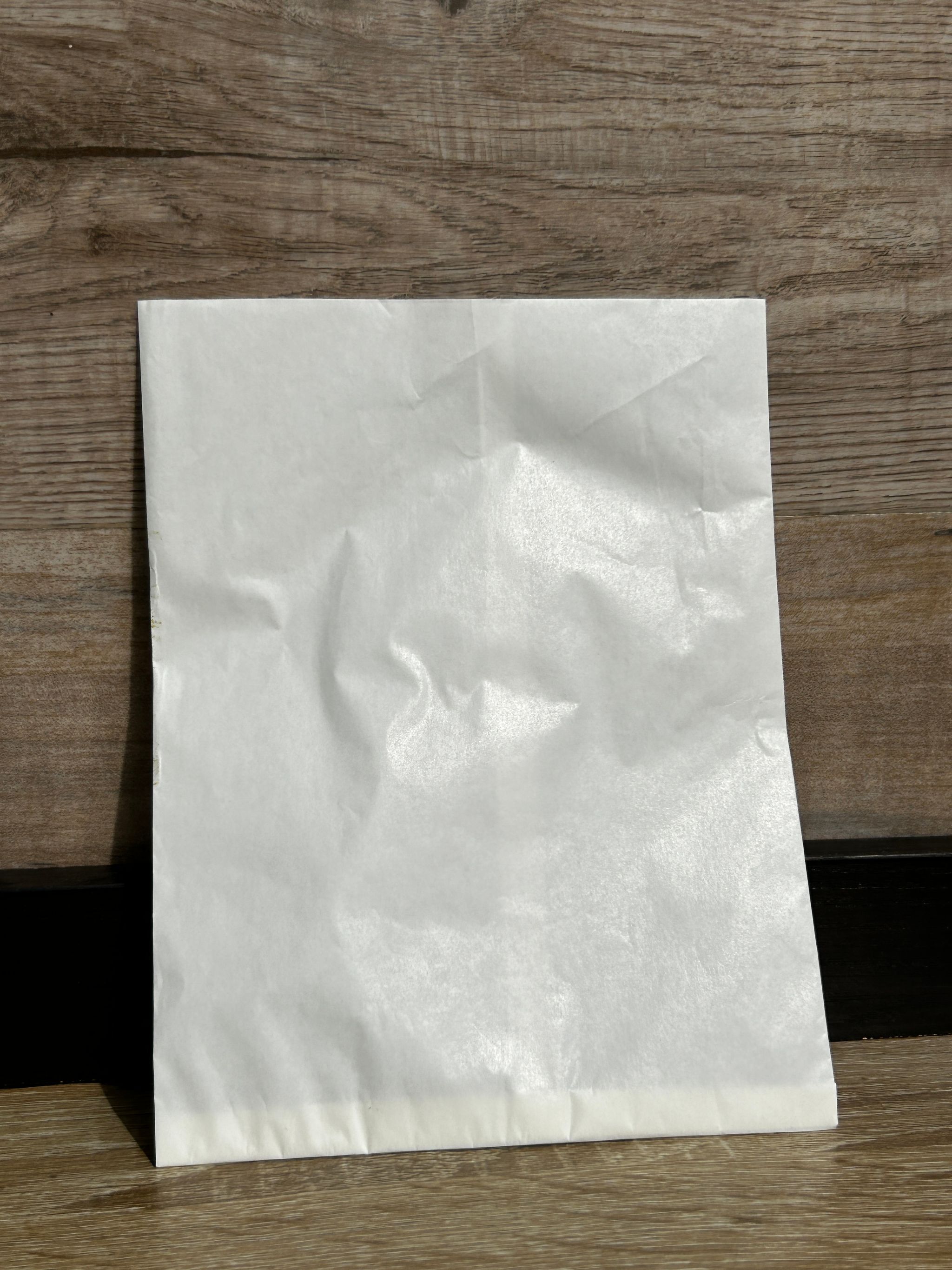 PLAIN WHITE SNACK TAKEOUT BAGS _1