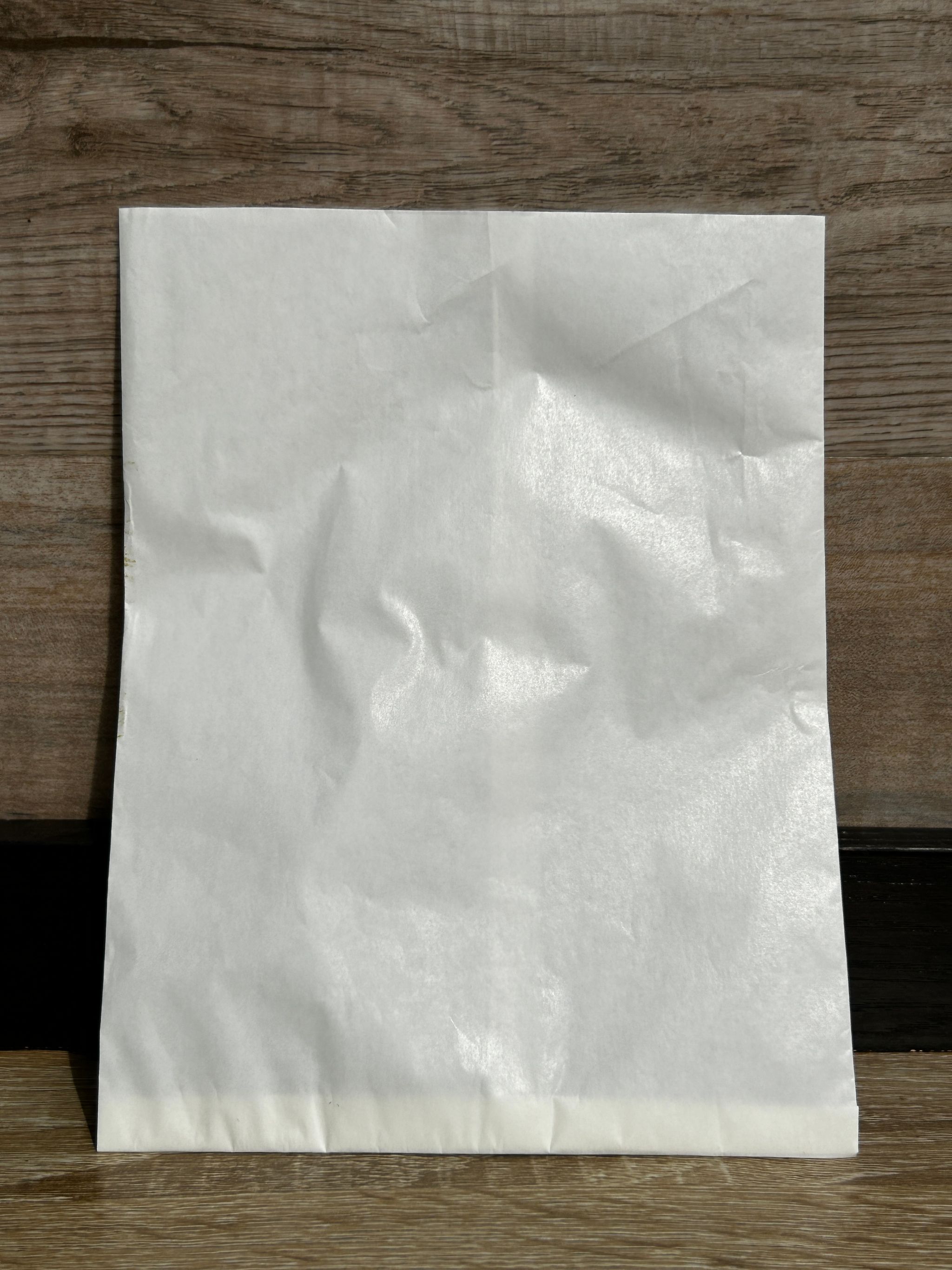 PLAIN WHITE SNACK TAKEOUT BAGS _3