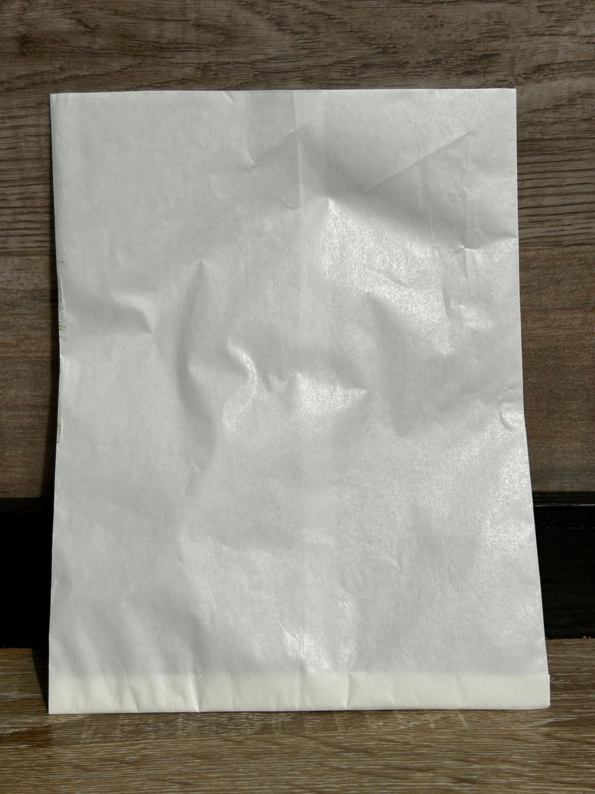 PLAIN WHITE SNACK TAKEOUT BAGS _2