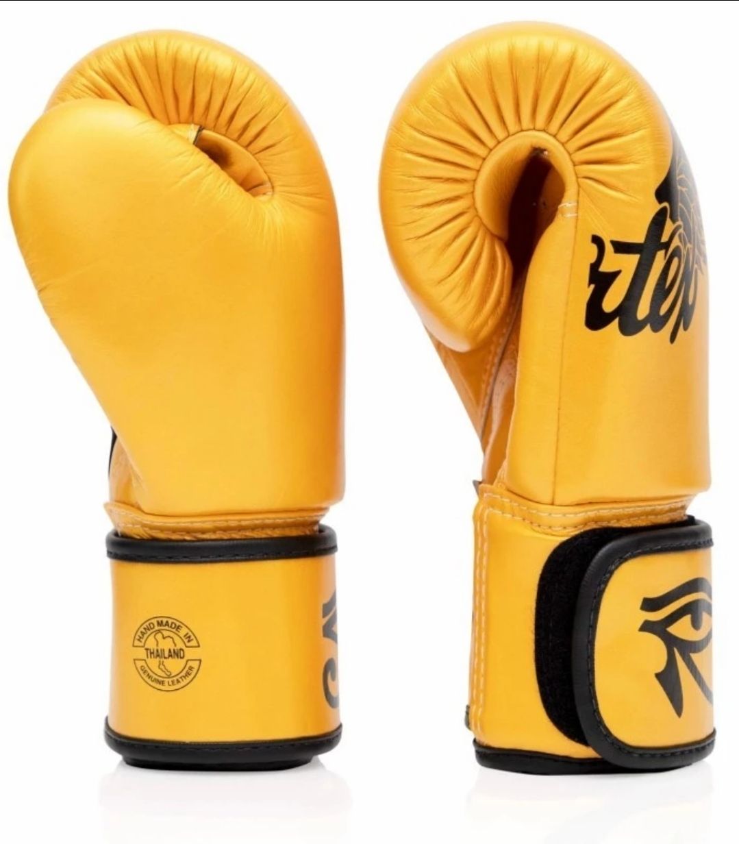 Pre-Order Fairtex Boxing Gloves BGV1 Falcon_1