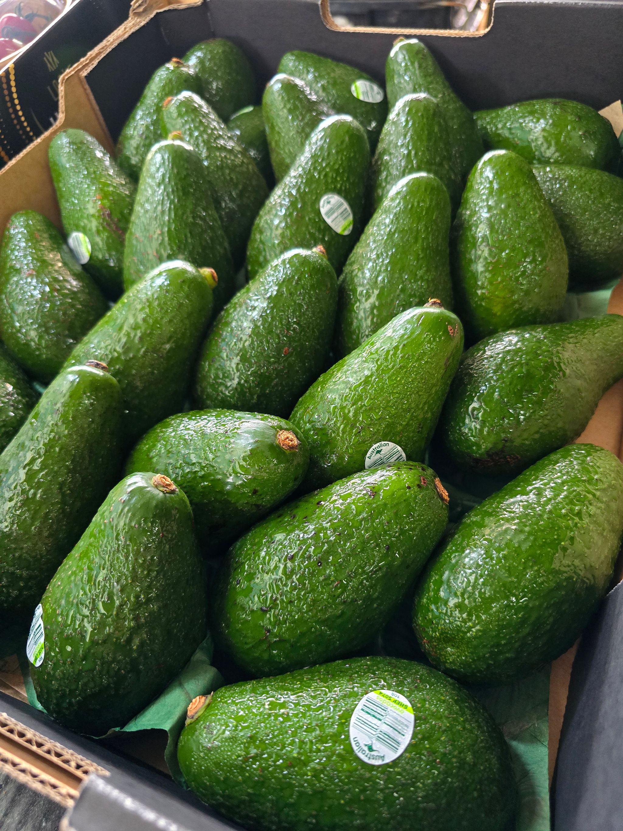 Aust Avocado (4 per set)_0