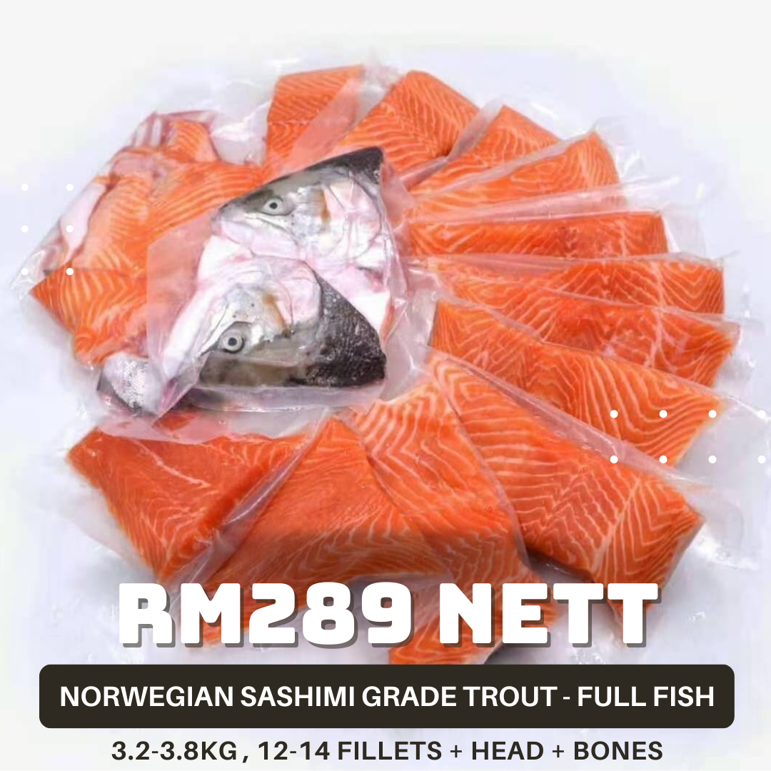 Norwegian Trout (Sashimi Grade) (3.2-3.5kg Full Fish) _1