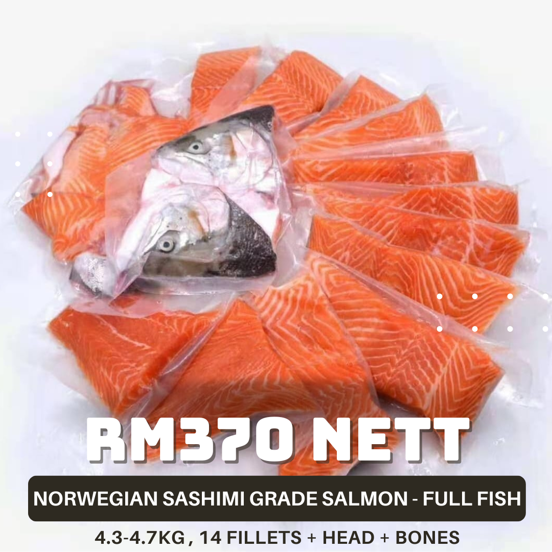 Norwegian Salmon(4.2-4.5KG Full Fish)_1