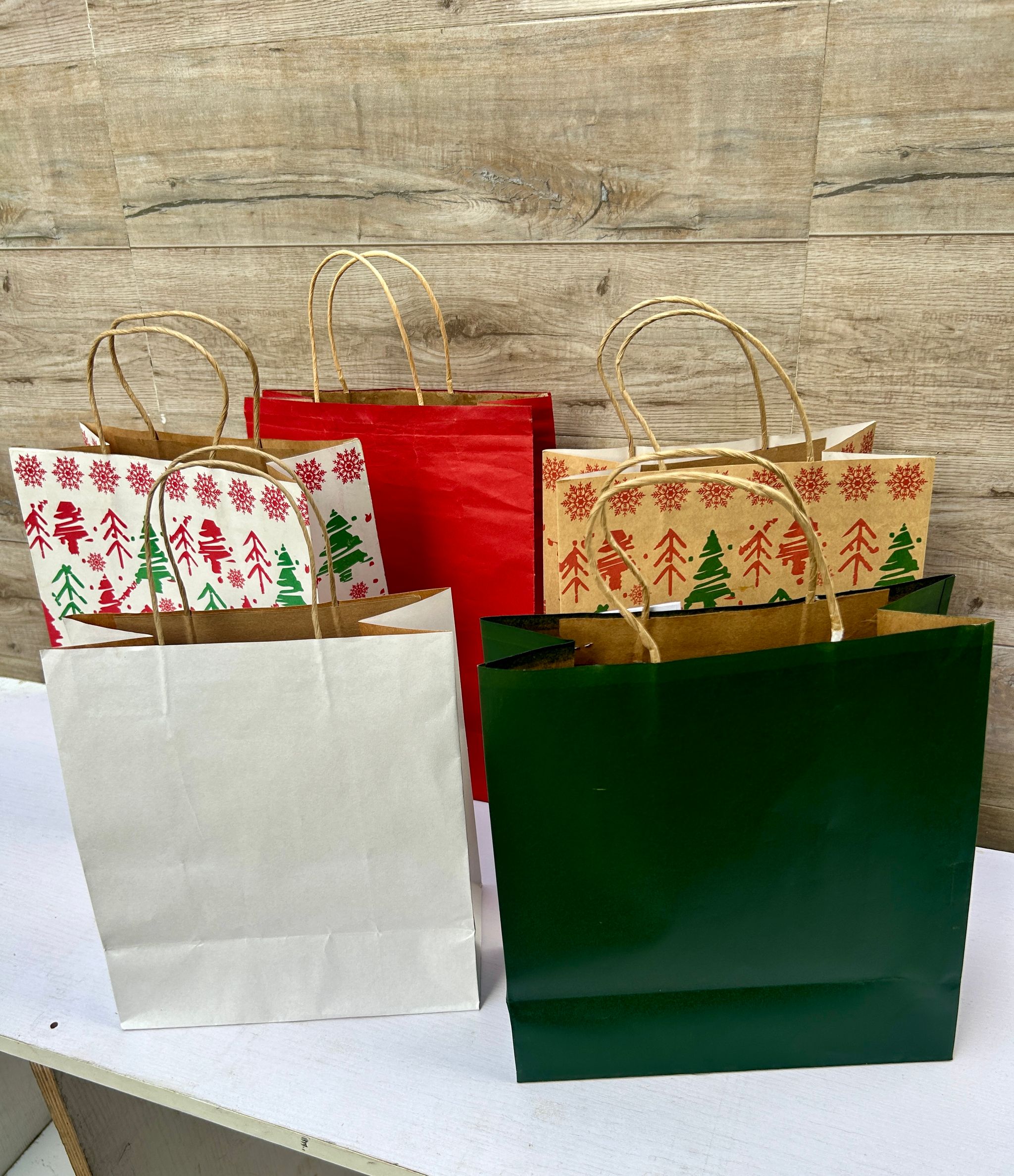 WHITE DELIVERY TAKEOUT BAGS - 9.5” x 7” x 5” - PACK OF 25 BAGS_9