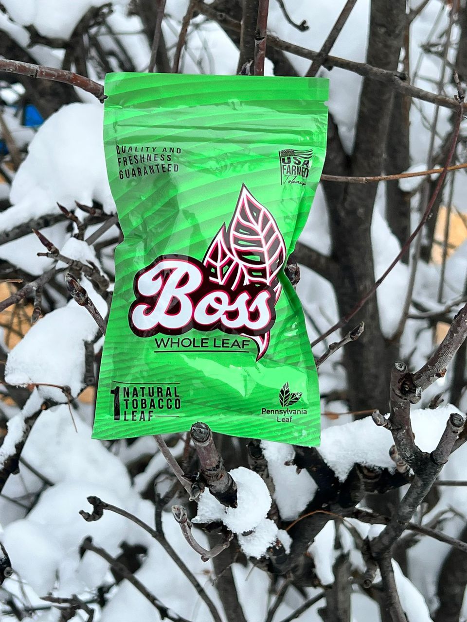 BossLeaf_0