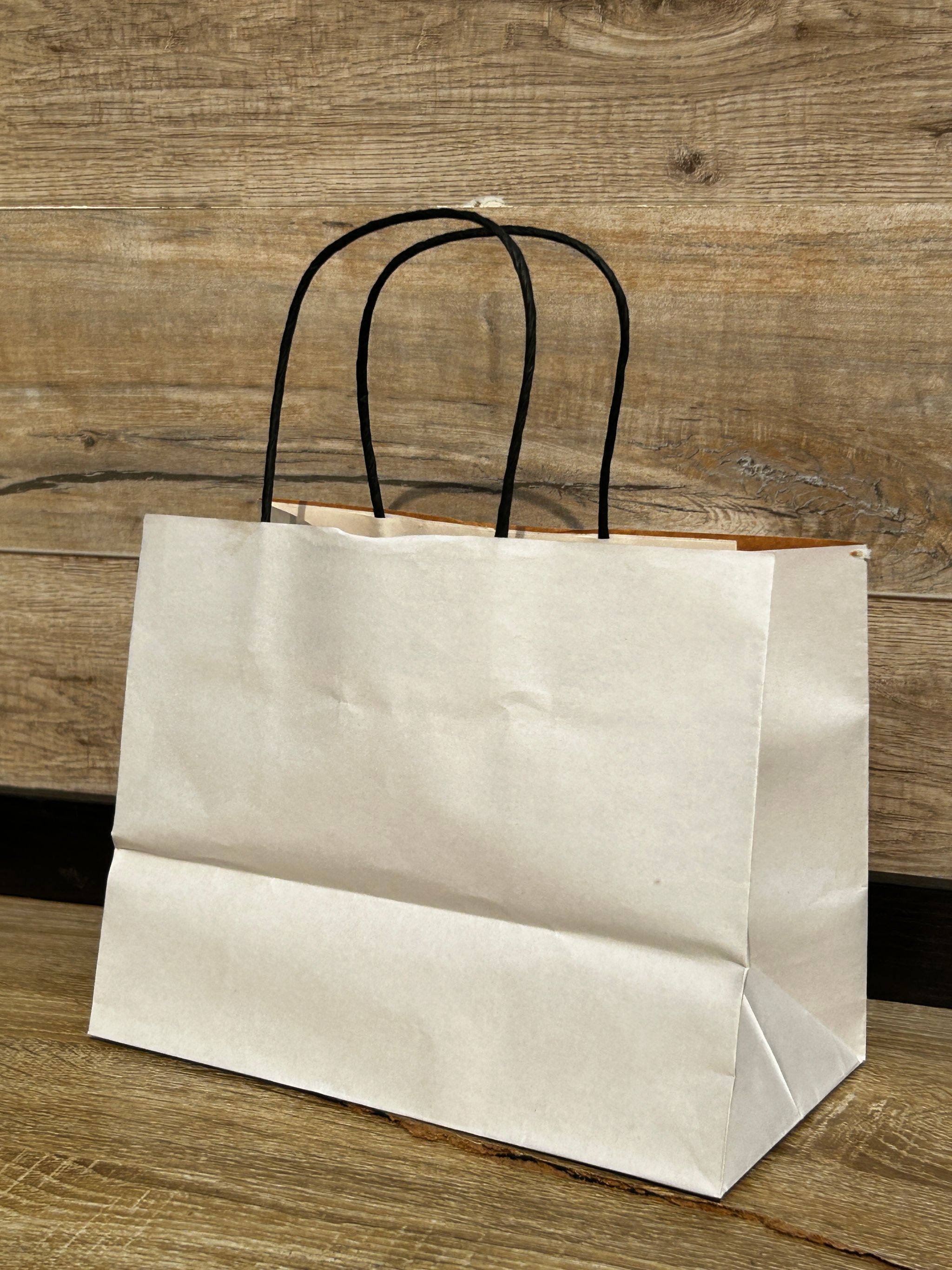 WHITE DELIVERY TAKEOUT BAGS - 9.5” x 7” x 5” - PACK OF 25 BAGS_0