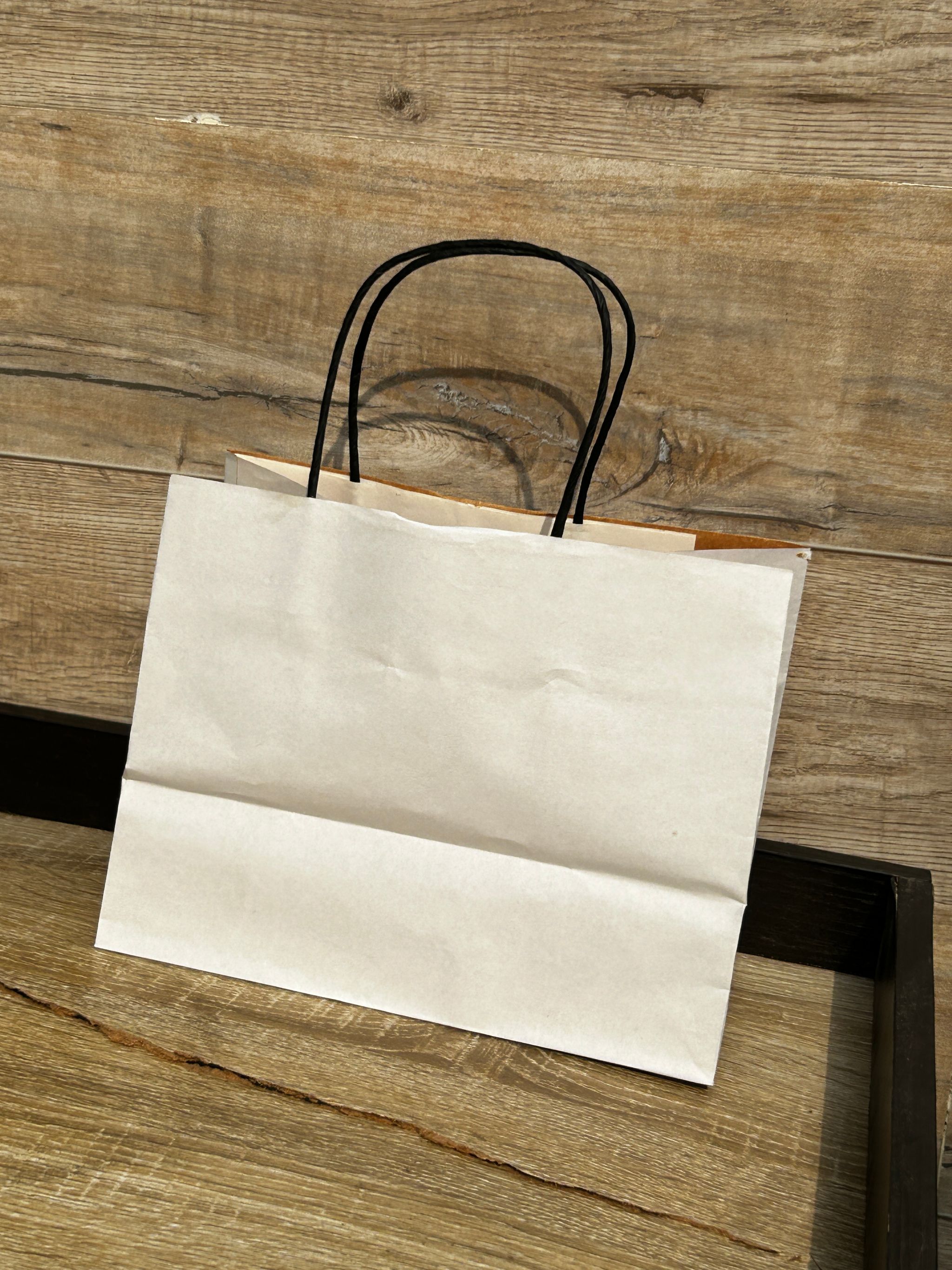 WHITE DELIVERY TAKEOUT BAGS - 9.5” x 7” x 5” - PACK OF 25 BAGS_1
