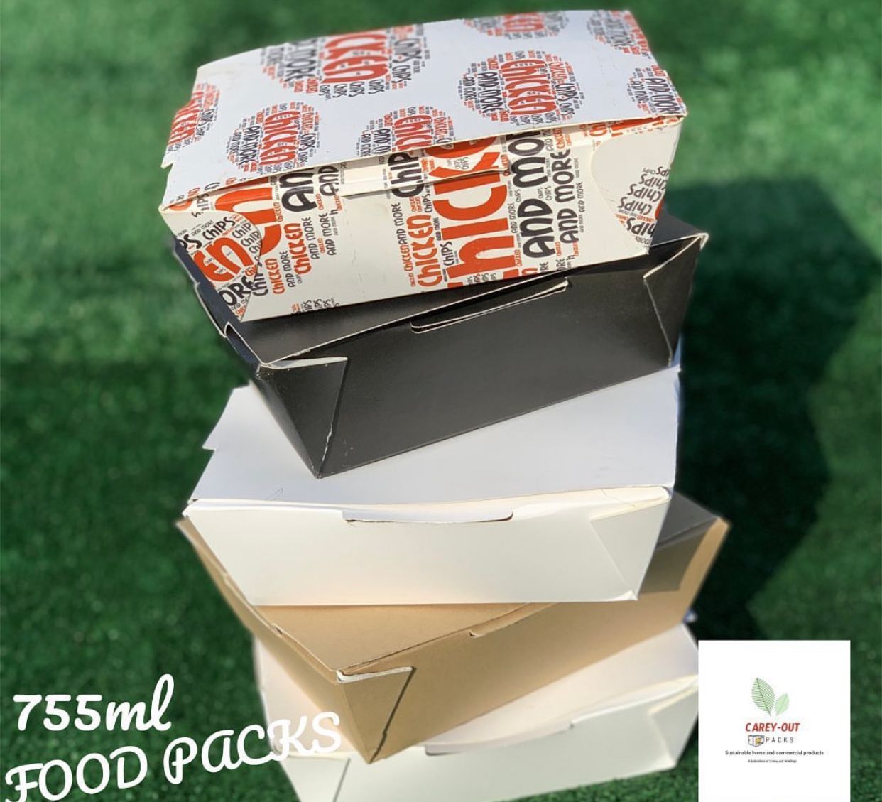 755ml TAKEOUT FOOD PACKS / PLAIN WHITE - CARTON OF 500 PIECES _2