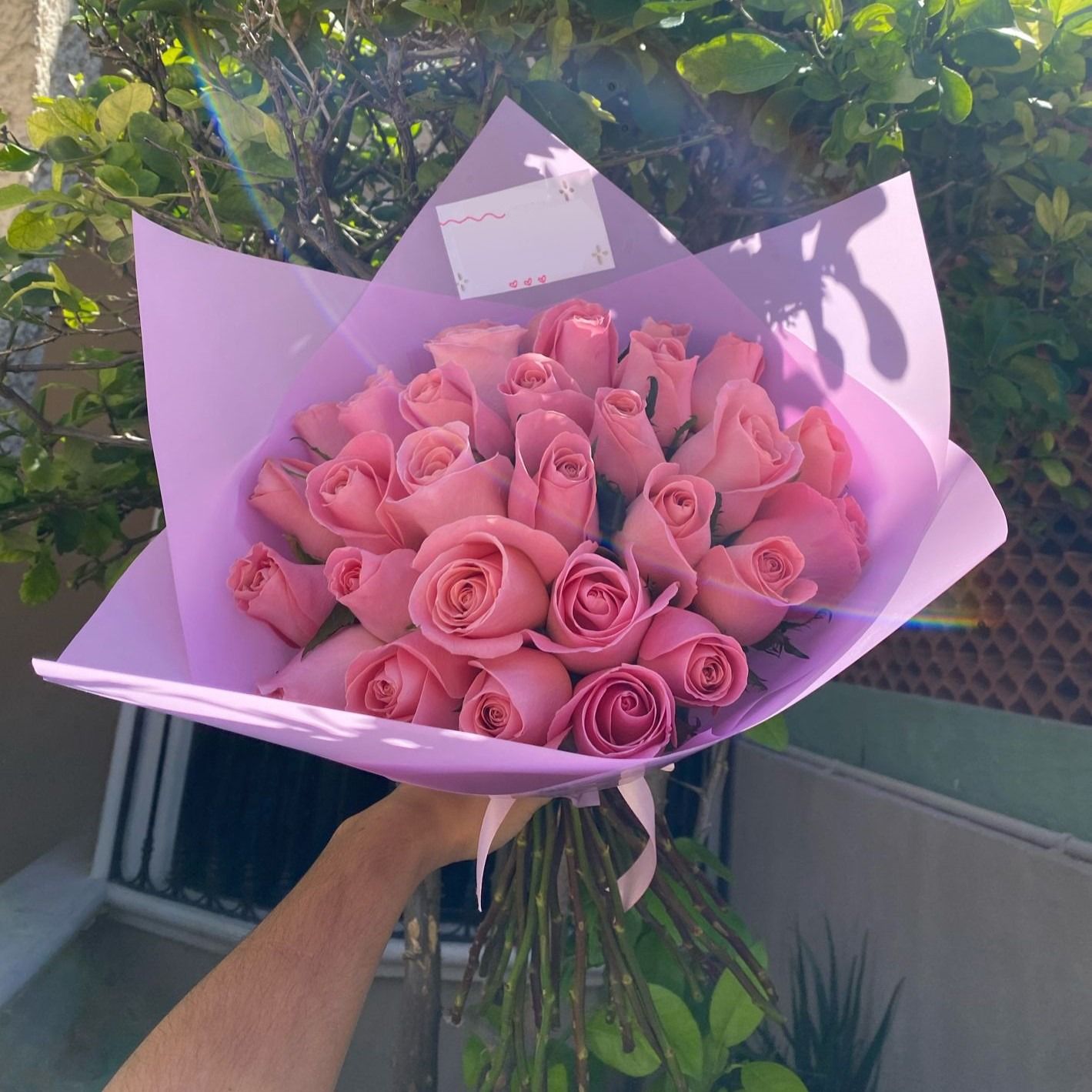 30 Rosas_1