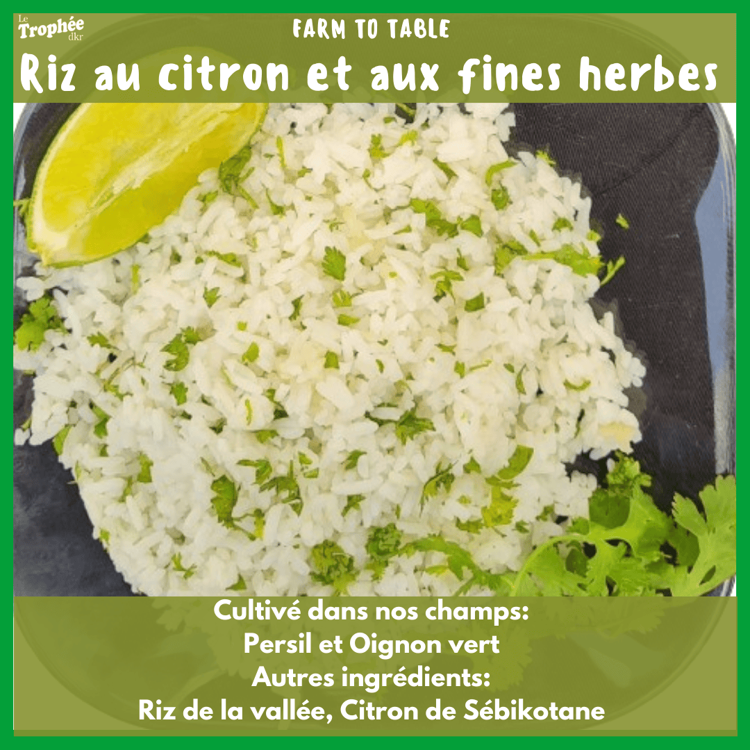 Riz au citron et fines herbes _0