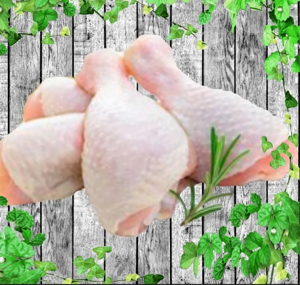 A- Ayam Peha_0