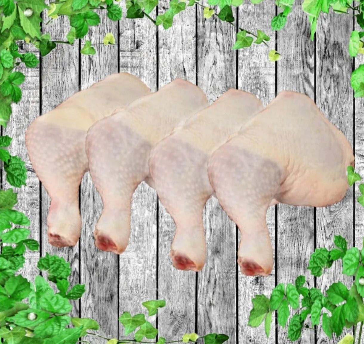A- Ayam Peha Punggung_0