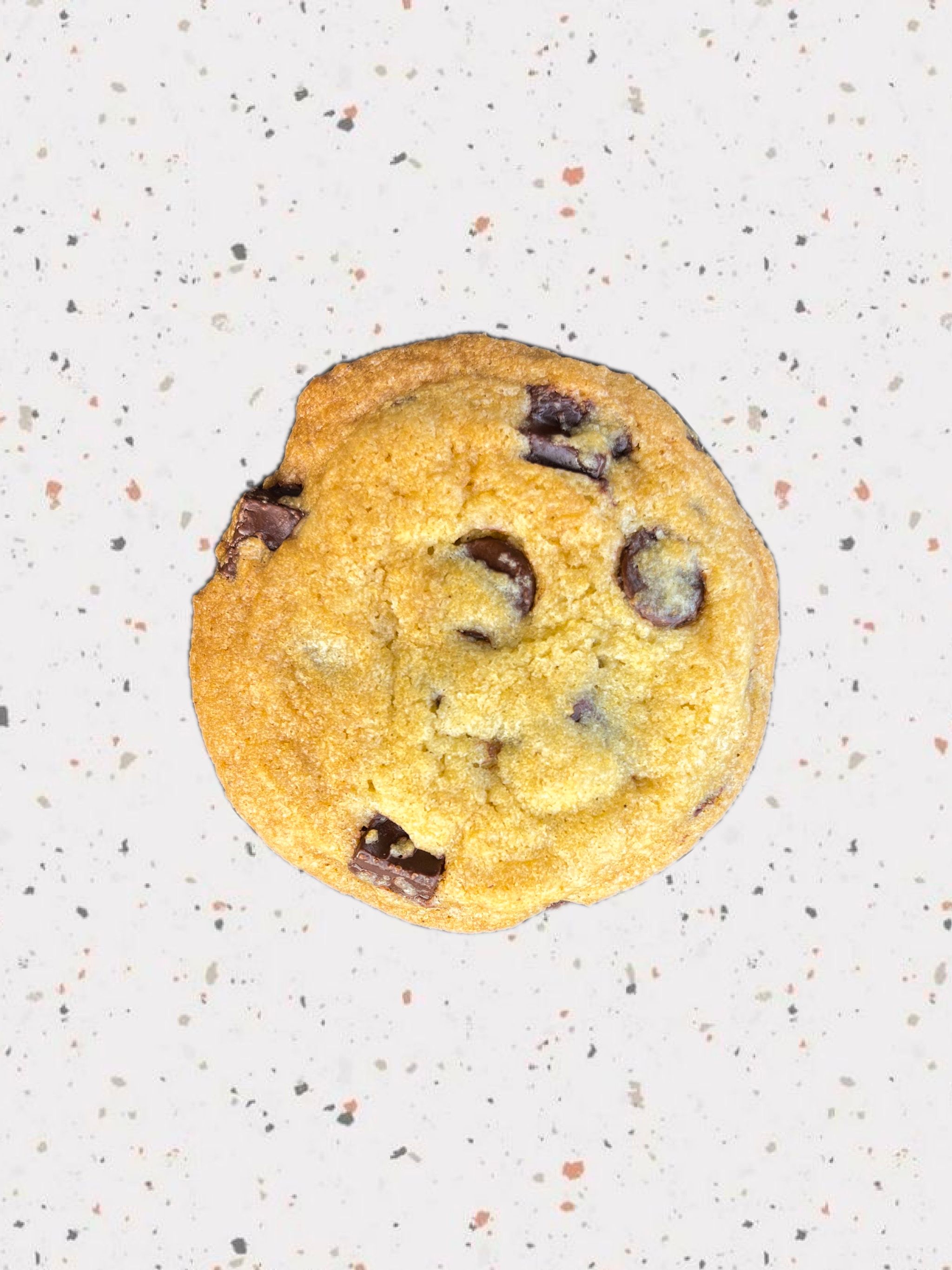 CHEWY CHOCOLATE CHIP COOKIE_0