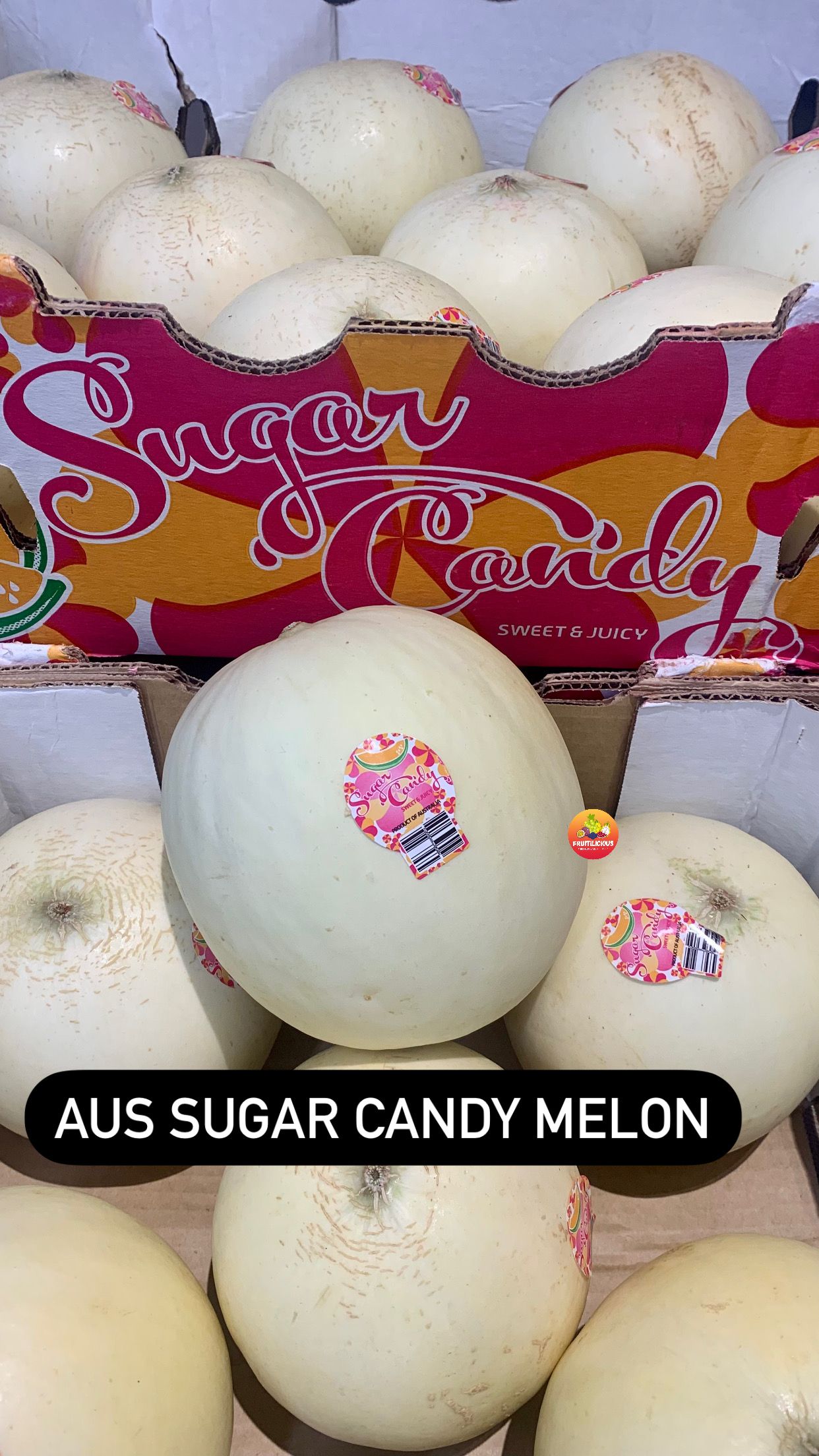 AUS SUGAR CANDY MELON (M)_0