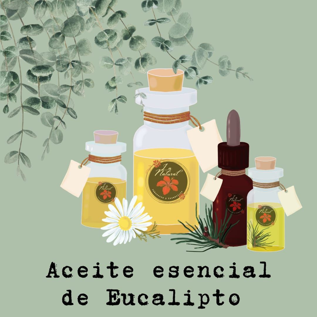 Eucalipto aceite esencial_0