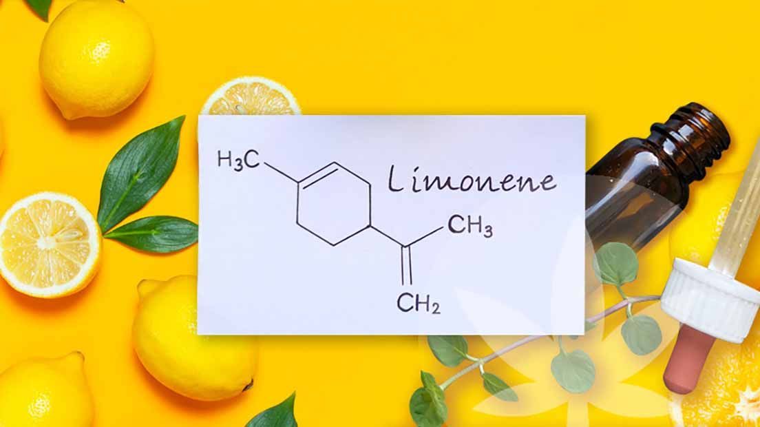 Limoneno_0