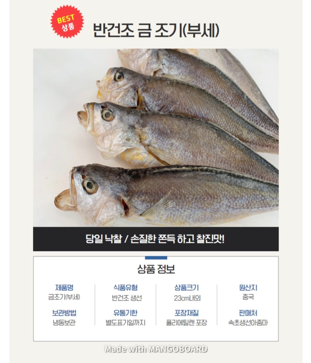 속초 금조기/1마리_2